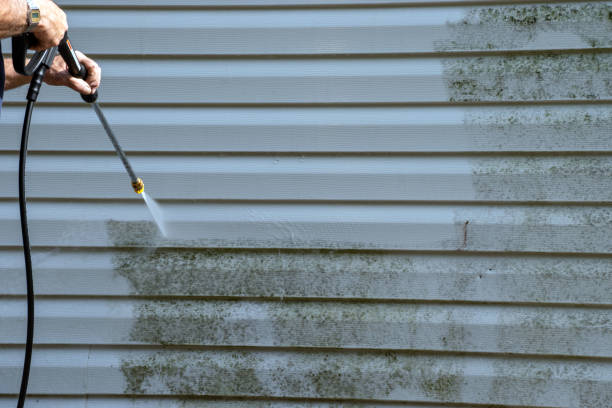 Best Insulated Siding Installation  in New Hope, AL
