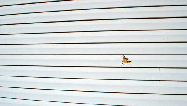 Best Composite Siding  in New Hope, AL
