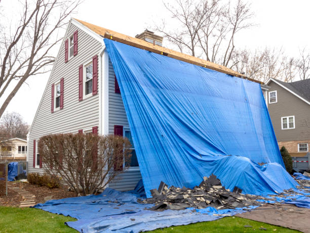 Best Fiber Cement Siding Installation  in New Hope, AL
